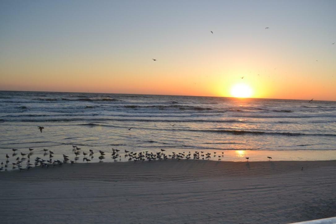 Daytona Beach Studio Condo With Beautiful Ocean View Exterior foto